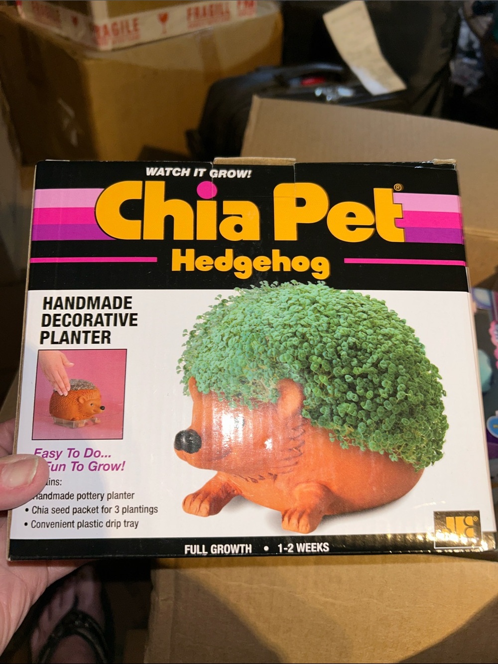Chia Pet Hedgehog Handmade Decorative Planter - Green